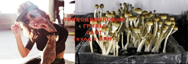 PSILOCYBIN Арсеньев