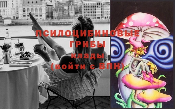 apvp Армянск