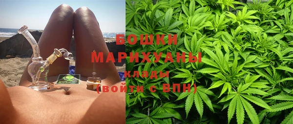 PSILOCYBIN Арсеньев
