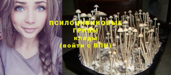 скорость Аркадак