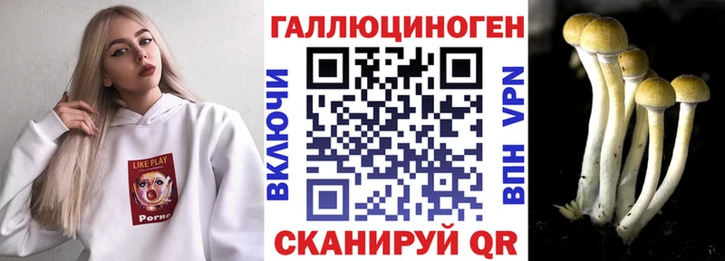 продажа наркотиков  Москва  Галлюциногенные грибы Magic Shrooms 